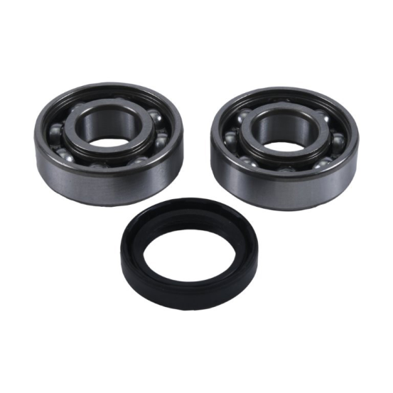 Kit roulements de balancier d'équilibrage HOT RODS Honda TRX 350 2000-2006