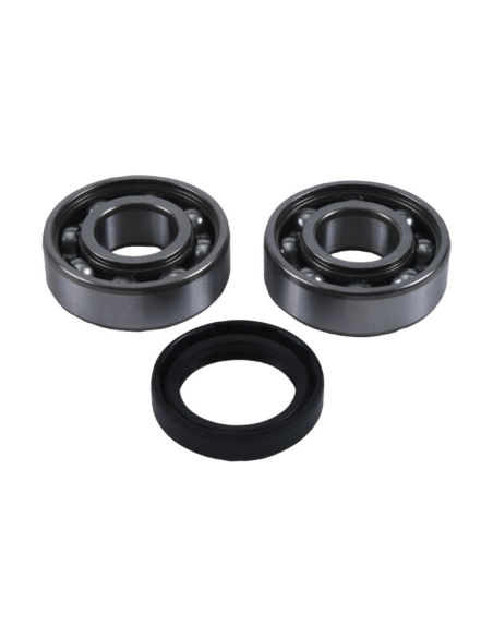 Kit roulements de balancier d'équilibrage HOT RODS Honda TRX 350 2000-2006