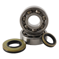 Kit roulement vilebrequin HOT RODS 250 RM 2003-2004