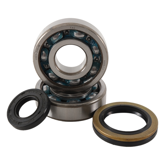 Kit roulement vilebrequin HOT RODS 250 RM 1989-1993
