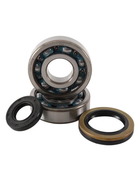 Kit roulement vilebrequin HOT RODS 250 RM 1989-1993