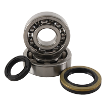 Kit roulement vilebrequin HOT RODS 250 RMX 1989-1994