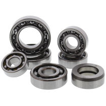 Kit Roulements Boite De Vitesse HOT RODS YAMAHA 660 YFM Grizzly Rhino