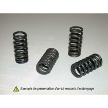Kit ressorts d'embrayage renforcés KAWASAKI 600 ZZR 1993-2006 (type E)
