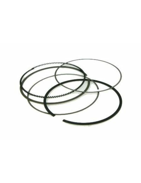 Segment VERTEX pour piston 24446A