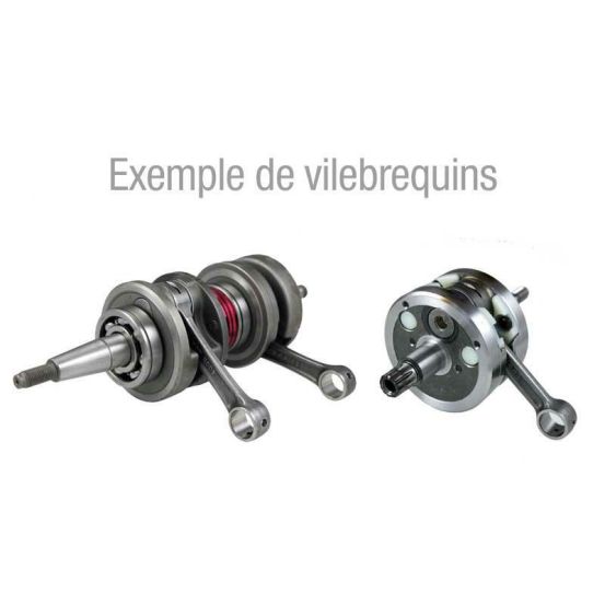 Vilebrequin HOT RODS Suzuki 450 LT-R 2006-2009