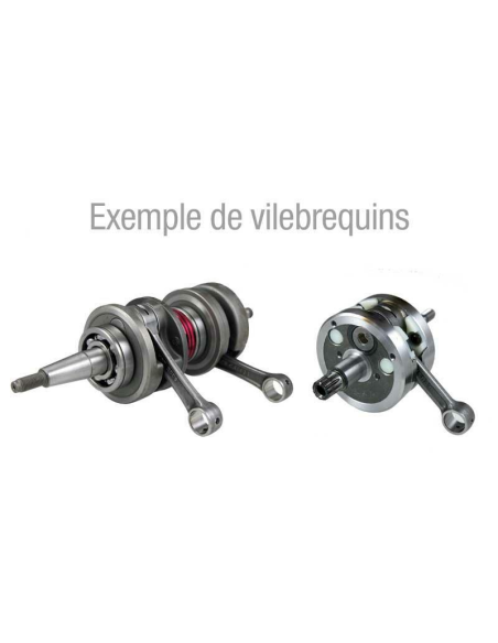 Vilebrequin HOT RODS Suzuki 450 LT-R 2006-2009