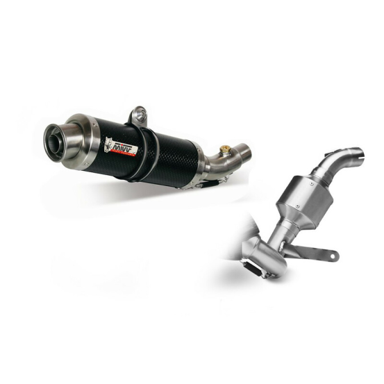 Ligne complète MIVV GP carbone KTM 390 Duke 2013-2016