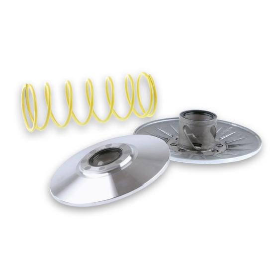 Correcteur de couple MALOSSI Honda 250 NSS Reflect/Forza/Jazz