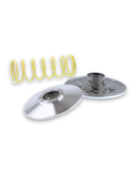 Correcteur de couple MALOSSI Honda 250 NSS Reflect/Forza/Jazz