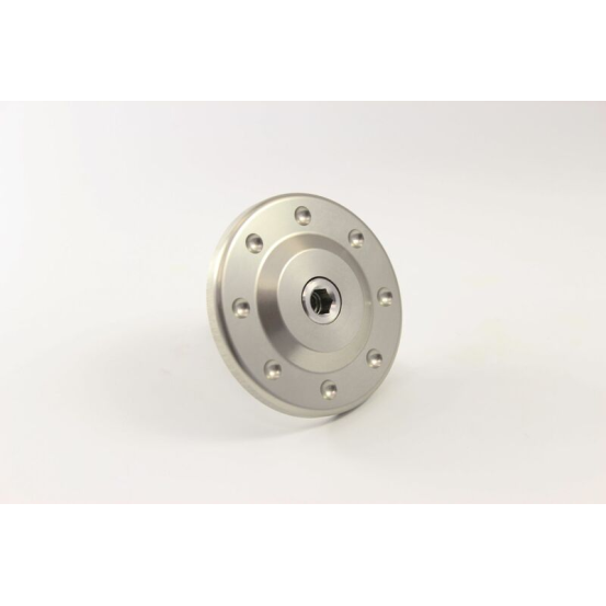Protections de bras oscillant - axe de roue - GILLES TOOLING GTA argent - Yamaha XSR 700