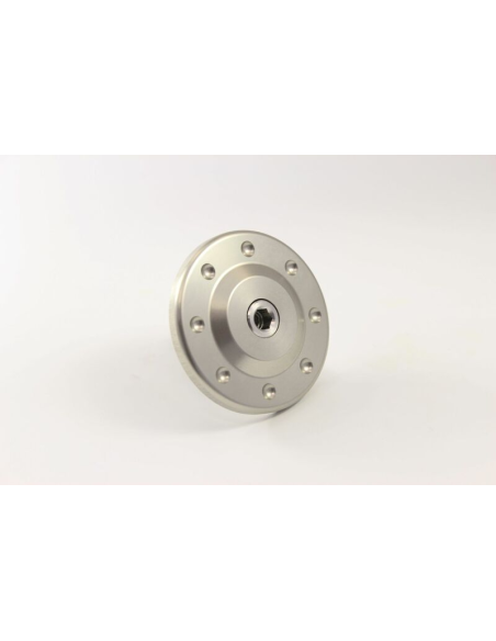 Protections de bras oscillant - axe de roue - GILLES TOOLING GTA argent - Yamaha XSR 700