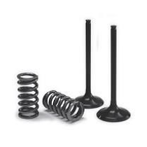 Kit coversion Soupapes d'Échappement acier + Ressort PROX KTM 250 EXC-F 2014-2016