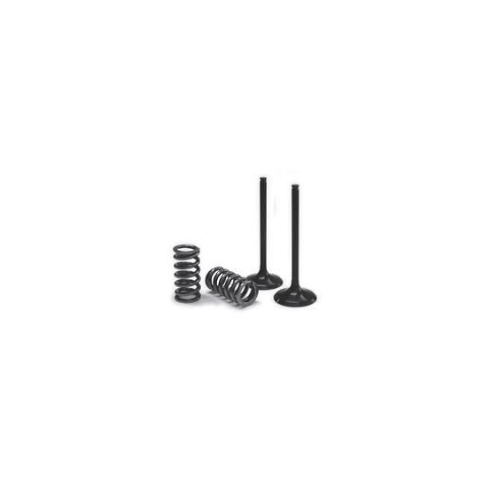 Kit coversion Soupapes d'Échappement acier + Ressort PROX KTM 250 EXC-F 2014-2016