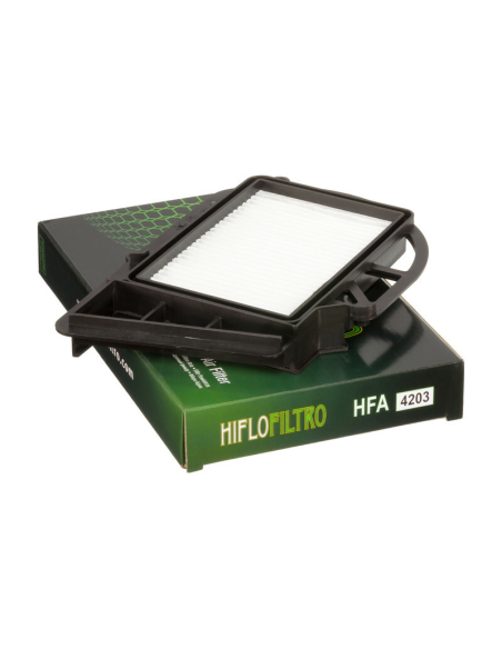 Filtre à air de variateur Hiflofiltro HFA4203