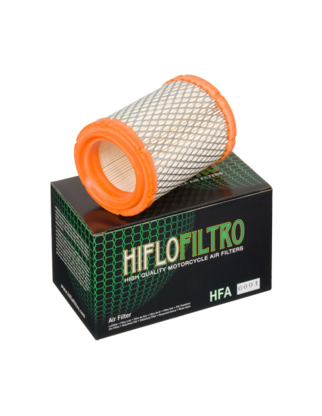Filtre à air HIFLOFILTRO HFA6001