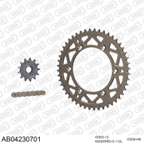 Kit chaine 520 AFAM - Couronne alu anti-boue - Type de chaine au choix - SHERCO SEF 300 I 2010-2011