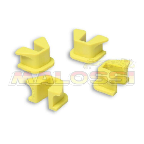 Guide de flasque de variateur Multivar MALOSSI Piaggio 350 Beverly 2012-2014 X10 2012-2015