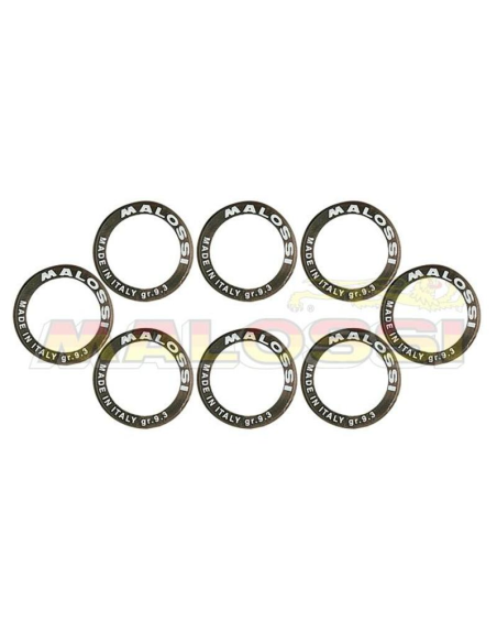 Jeu de 8 galets de variateur origine/Multivar MALOSSI 28x19,9mm - 26,0g