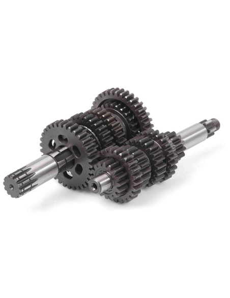 Boite de vitesse complète JASIL moteur MINARELLI AM6