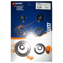 Pochette de Joints spis Bas Moteur Tecnium Honda