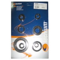 Pochette de Joints spis Bas Moteur Tecnium Honda