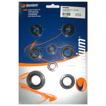 Pochette de Joints spis Bas Moteur Tecnium Honda