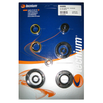 Pochette de Joints spis Bas Moteur Tecnium Kawasaki