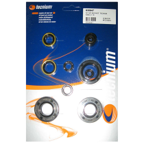 Pochette de Joints spis Bas Moteur Tecnium Kawasaki