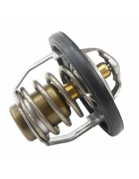 Thermostat TOURMAX YAMAHA