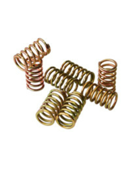Kit ressorts d'embrayage PROX BETA 250/300/350/390/400/430/450/480/498 RR