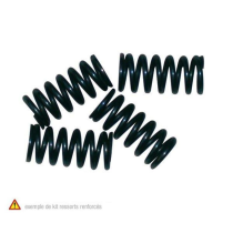Ressorts d'embrayage NEWFREN pour APRILIA, CAGIVA, DERBI