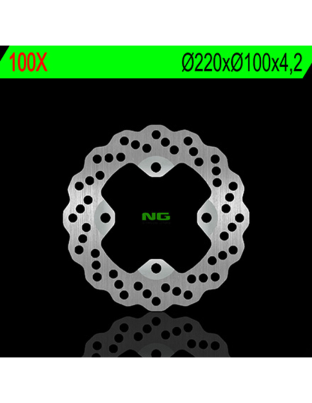 Disque de frein Arrière NG BRAKES KAWASAKI