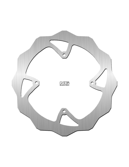 Disque de frein Arrière NG BRAKES TM