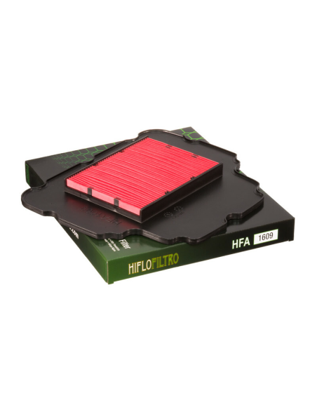 Filtre à air HIFLOFILTRO HFA1609