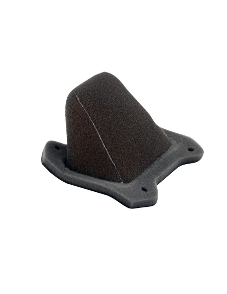 Filtre à air TWIN AIR - 250 Cota 4RT 2007-2011 / 314R / 315R 4T 2007-2011