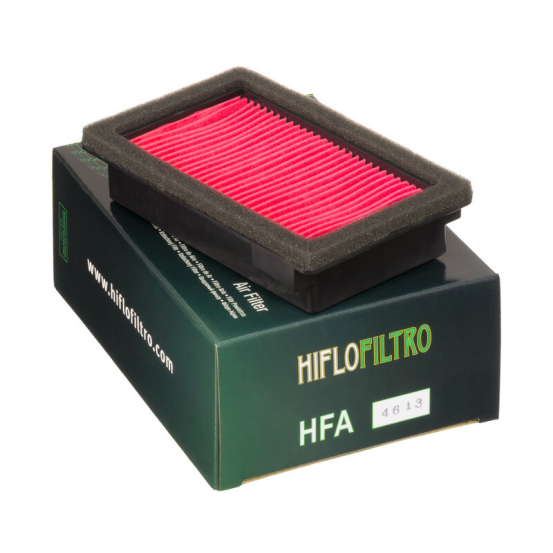 Filtre à air HIFLOFILTRO HFA4613