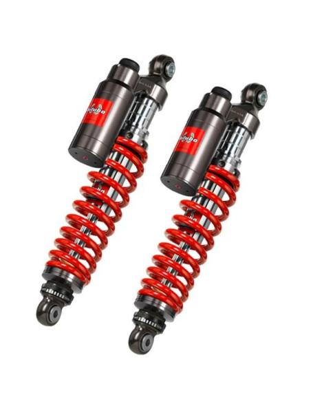 Bi-amortisseur BITUBO KAWASAKI 1100 ZRX 1996-2001 / 1200 ZRX 2001-2006