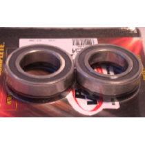 Roulements roue arrière PIVOT WORKS Yamaha YFM350 Warrior 1987 - 2004