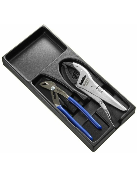 Module de 2 pinces EXPERT multiprise et étau