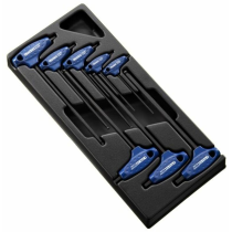 Module d'outils EXPERT 8 clés males 6 pans en T