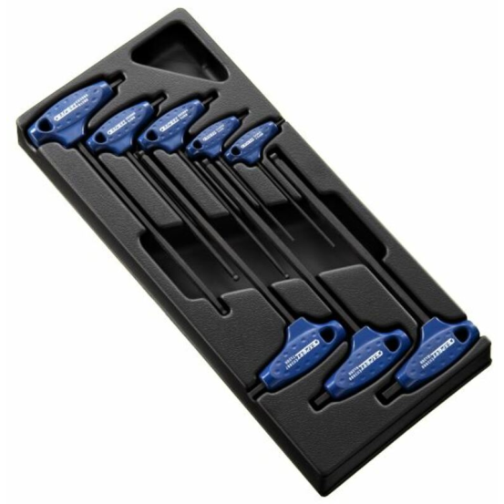 Module d'outils EXPERT 8 clés males 6 pans en T