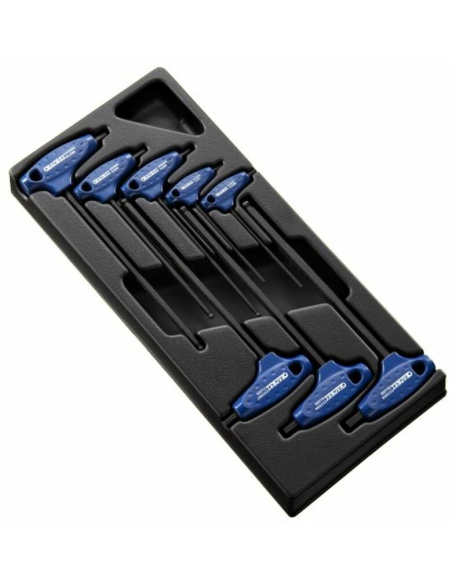 Module d'outils EXPERT 8 clés males 6 pans en T