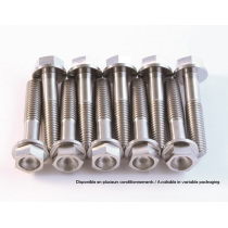 Kit 2 vis titane SCAR M6x70