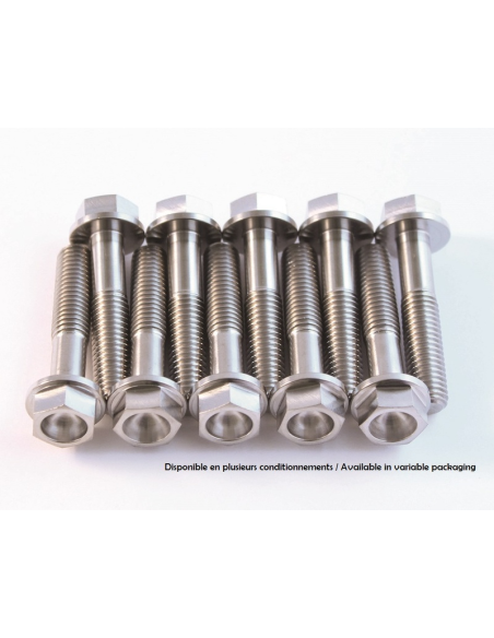 Kit 2 vis titane SCAR M6x70