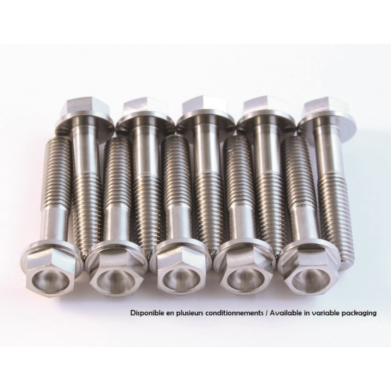 Kit 2 vis titane SCAR M6x75
