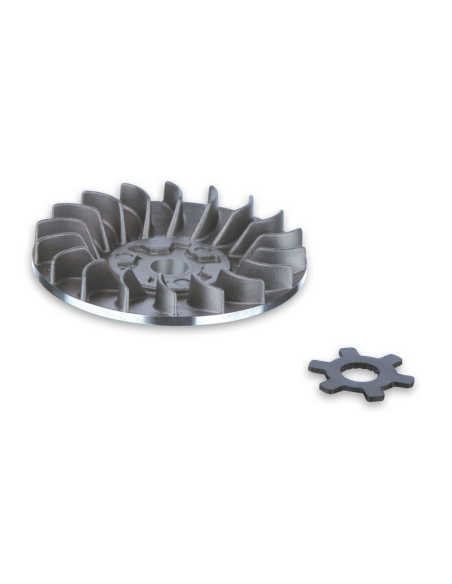 Joue fixe Ventilvar 2000 MALOSSI Benelli/CPI/Italjet/Keeway/Malaguti 50cc