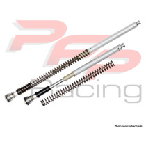 Kit cartouche ÖHLINS NIX YAMAHA XT 1200 Z SUPER TENERE 2010 - 2014 - ZE 2015 - 2016