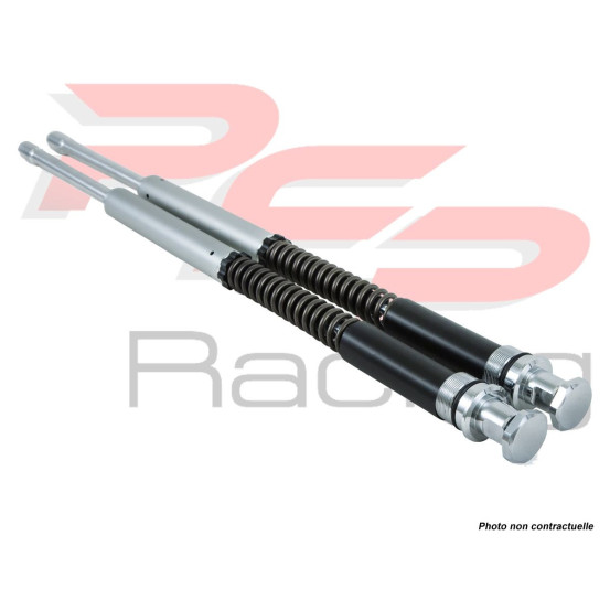 Kit cartouche ÖHLINS type NIX25 HARLEY DAVIDSON FLH - FLT 1997 - 2013