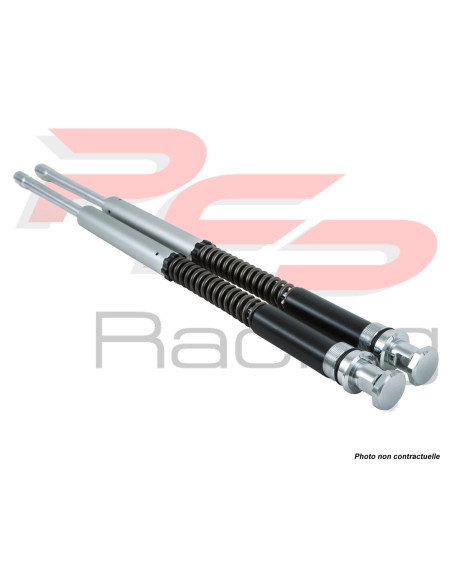 Kit cartouche ÖHLINS type NIX25 HARLEY DAVIDSON FLH - FLT 1997 - 2013